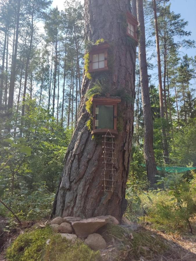 Domki Przy Lipowej 14 Luka エクステリア 写真
